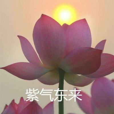 穿越吧三国官方下载